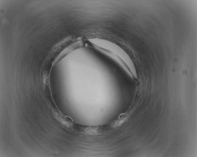 X0000084550574200703091722