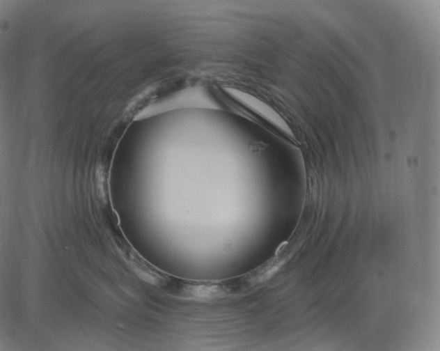 X0000084550575200703091722