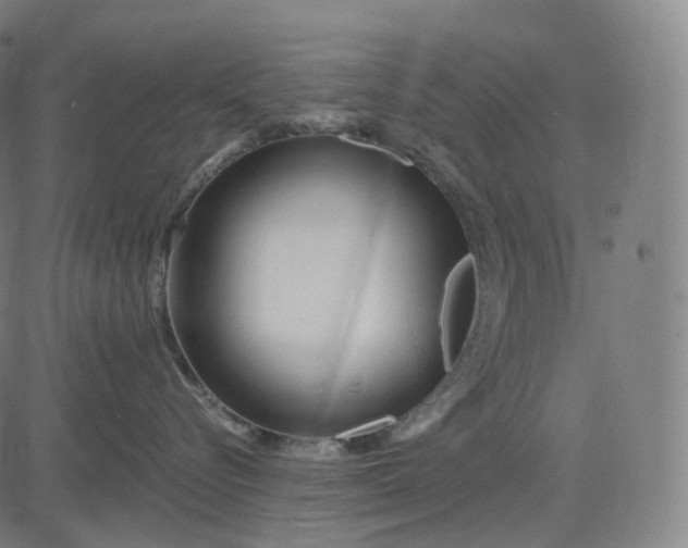 X0000084550576200703091722