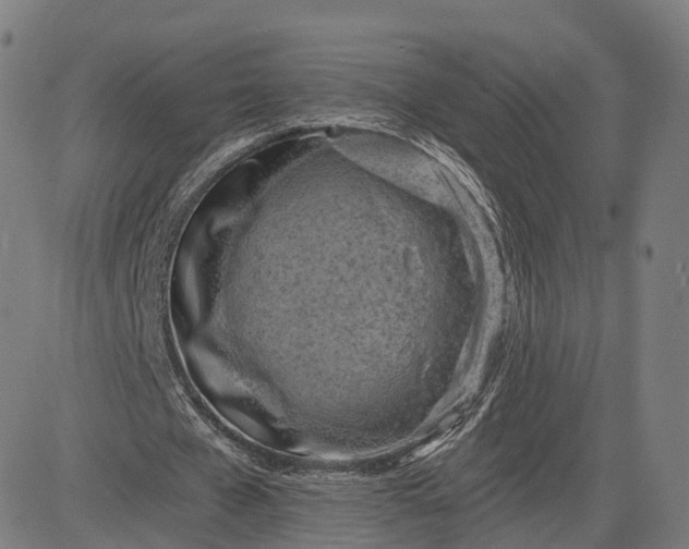 X0000084550577200703091722