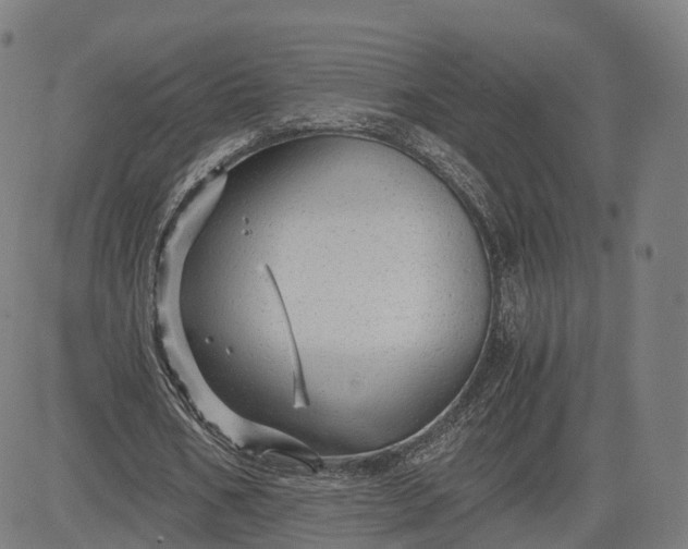 X0000084550578200703091722