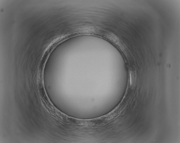 X0000084550579200703091722