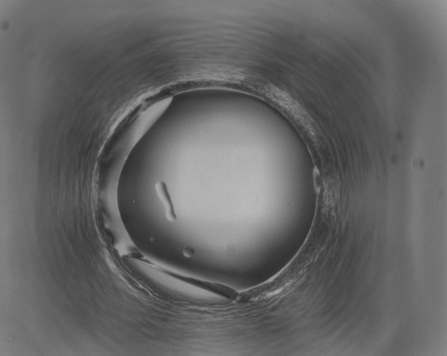 X0000084550580200703091722