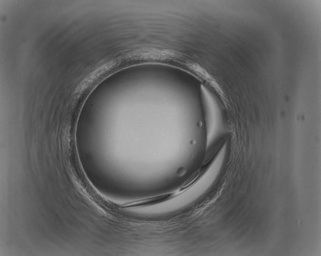 X0000084550581200703091722