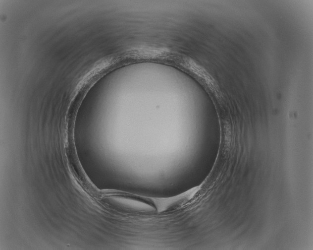 X0000084550582200703091722