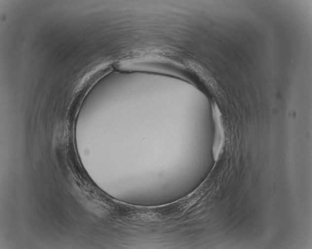 X0000084550583200703091722