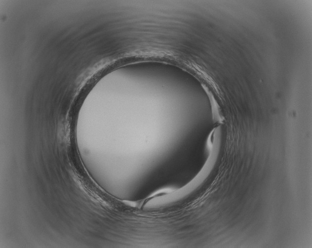 X0000084550584200703091722