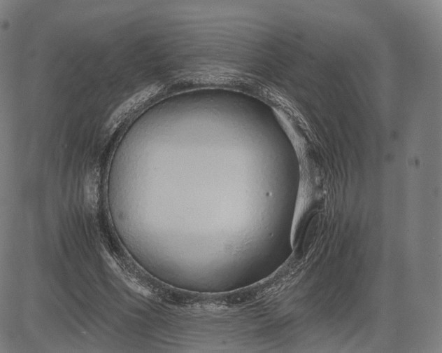 X0000084550586200703091721