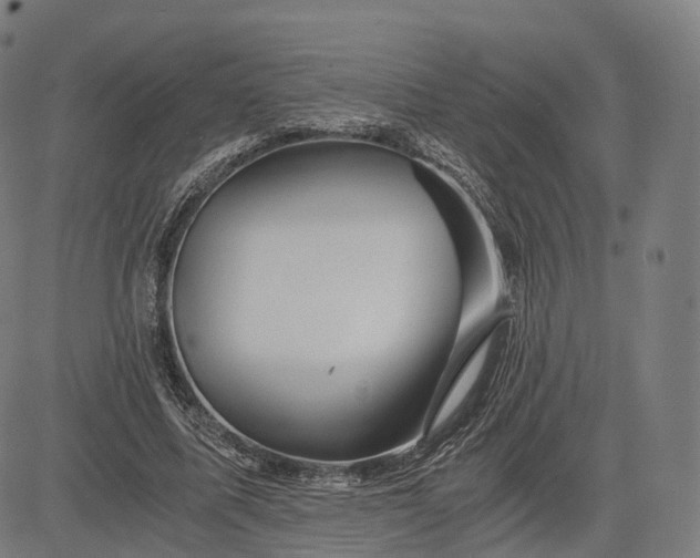 X0000084550587200703091721