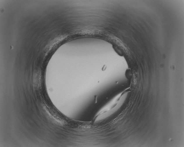 X0000084550588200703091721