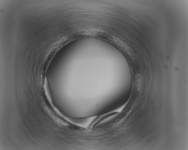 X0000084550589200703091721