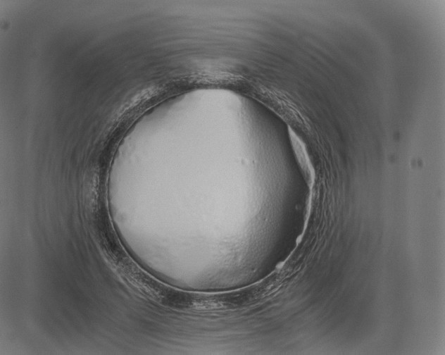 X0000084550591200703091721