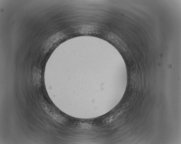 X0000084550592200703091721