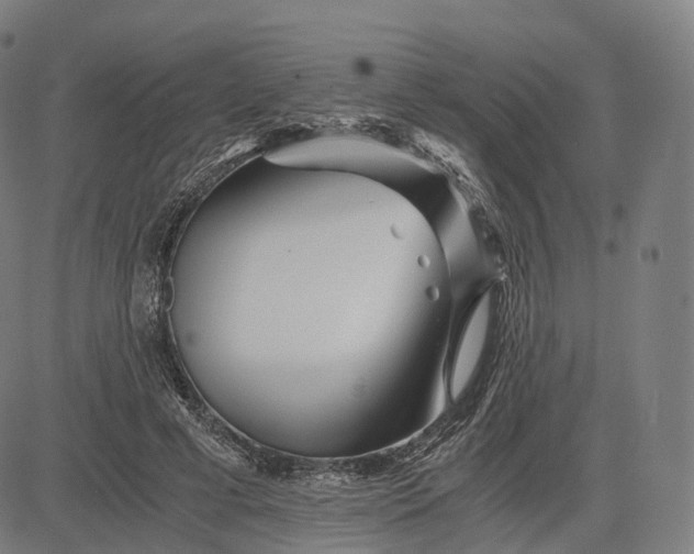 X0000084550593200703091721