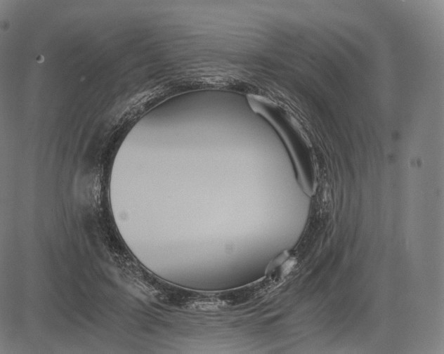 X0000084550595200703091721