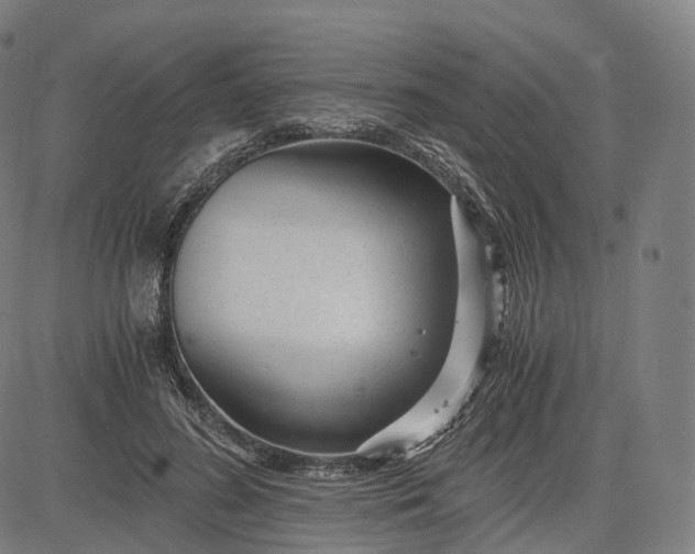 X0000084550596200703091721