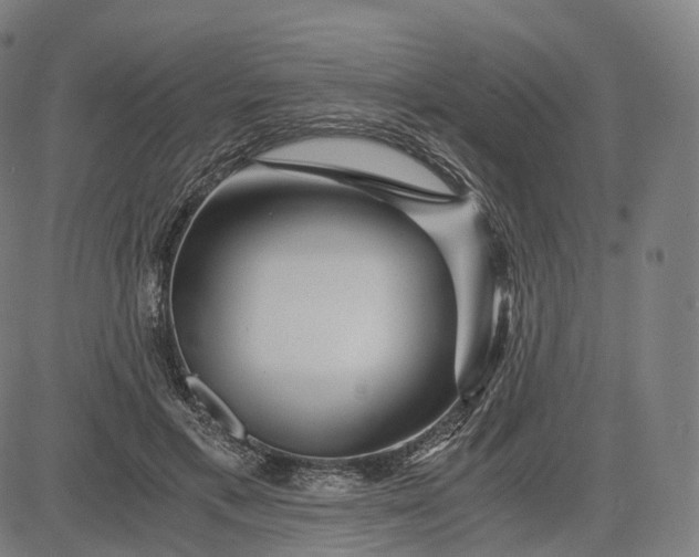 X0000084550597200703091721