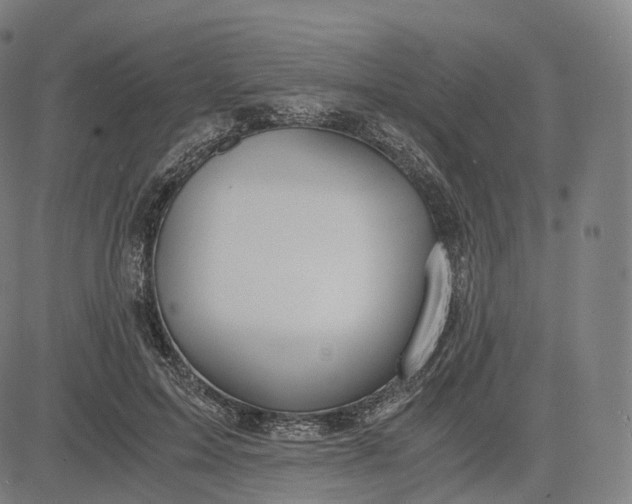 X0000084550599200703091721