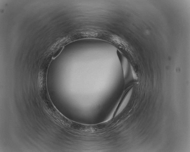 X0000084550600200703091721