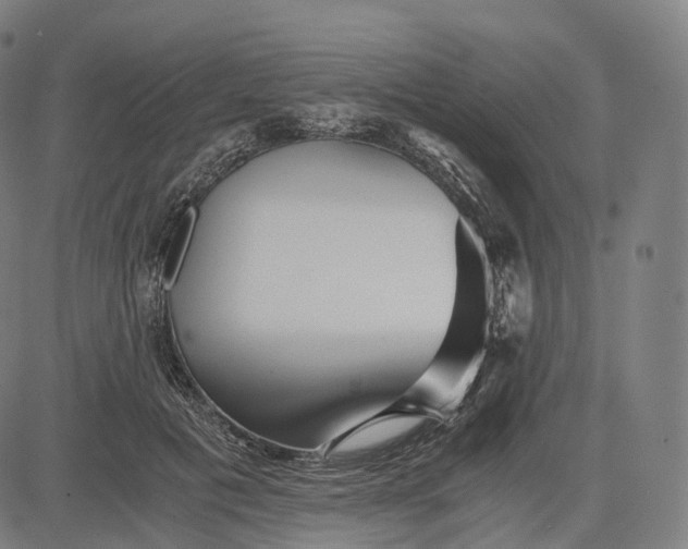 X0000084550601200703091721