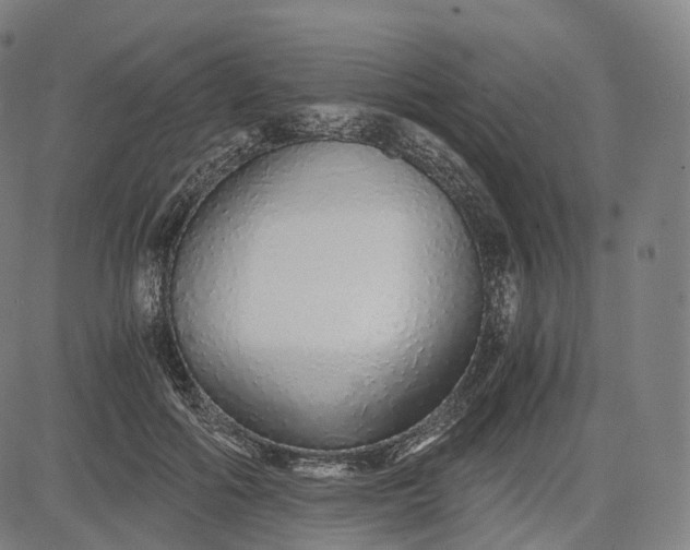 X0000084550602200703091721