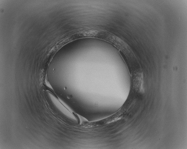 X0000084550604200703091721