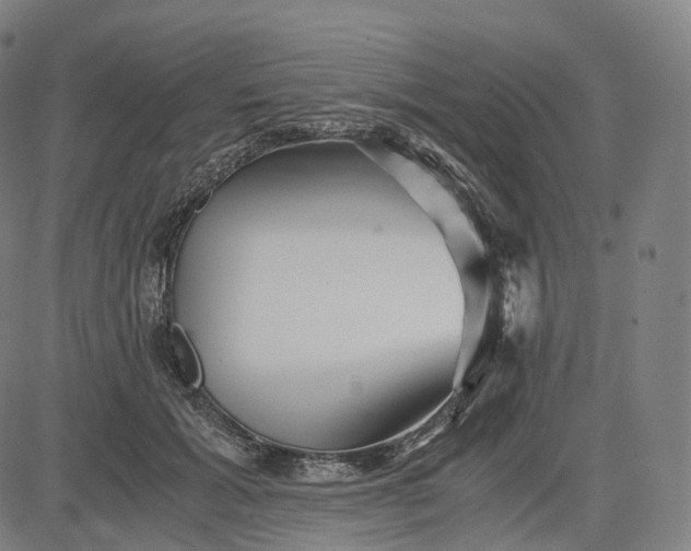 X0000084550605200703091721