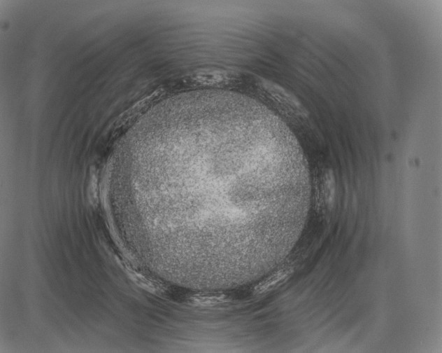 X0000084550606200703091721