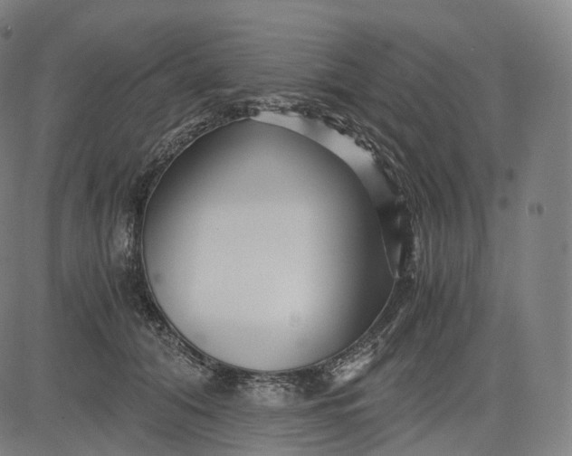 X0000084550608200703091721