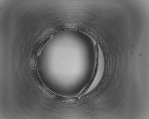 X0000084550609200703091721