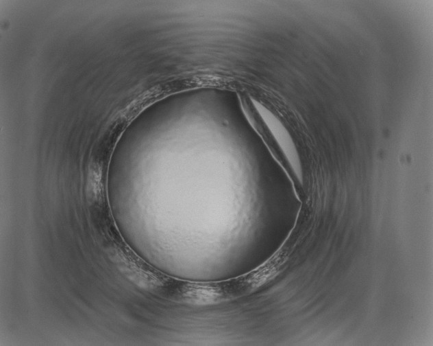 X0000084550610200703091721