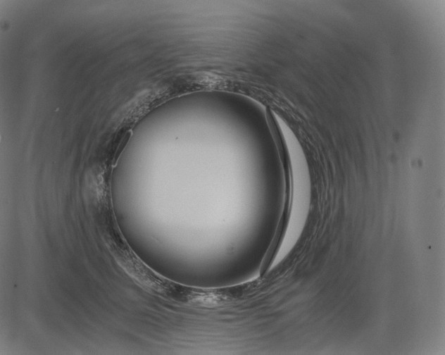 X0000084550611200703091721