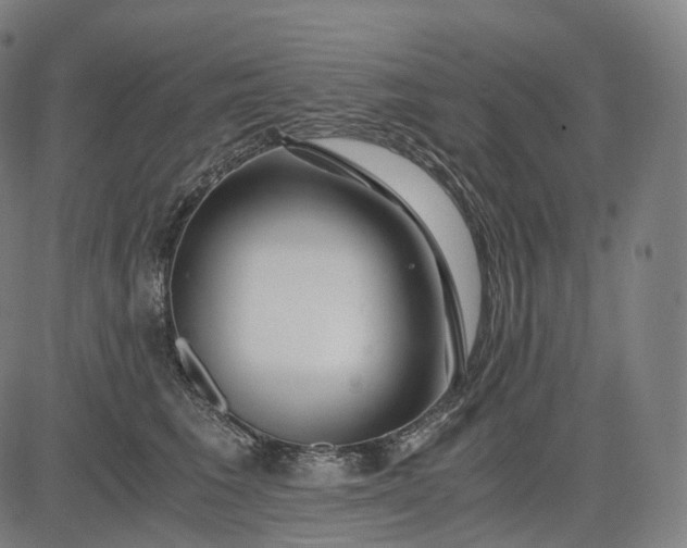 X0000084550613200703091721