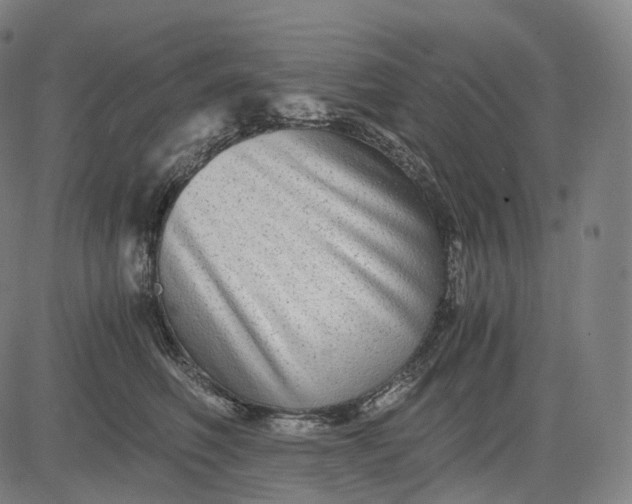 X0000084550614200703091721