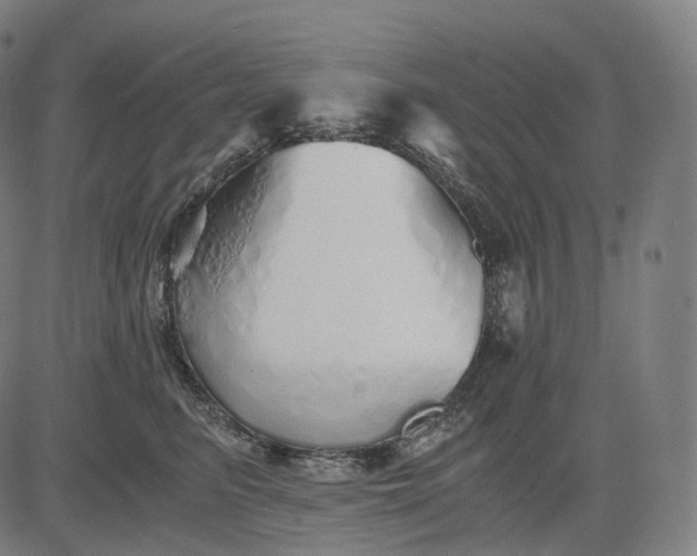 X0000084550615200703091721