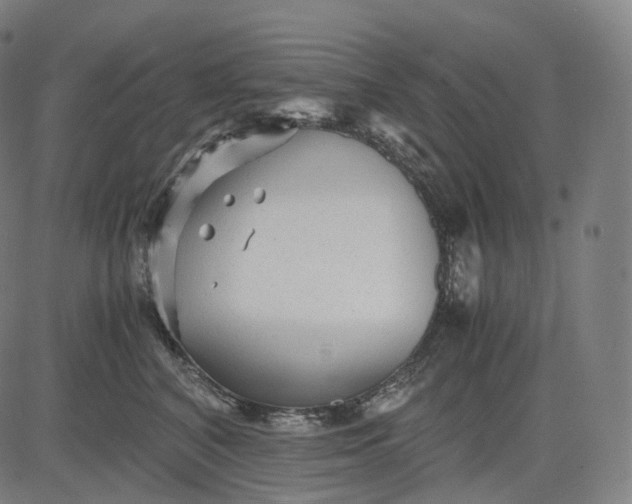 X0000084550616200703091721