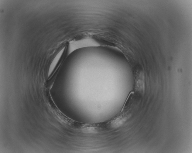 X0000084550620200703091721