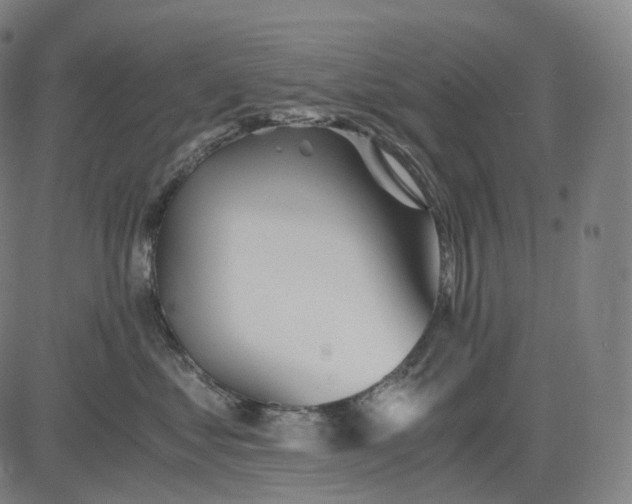 X0000084550621200703091721