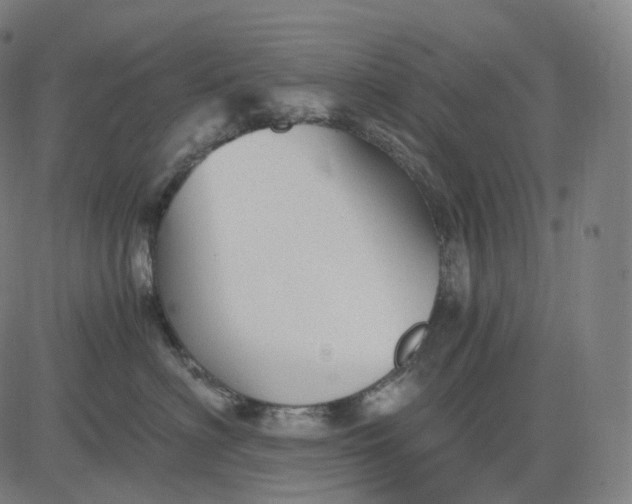 X0000084550622200703091721