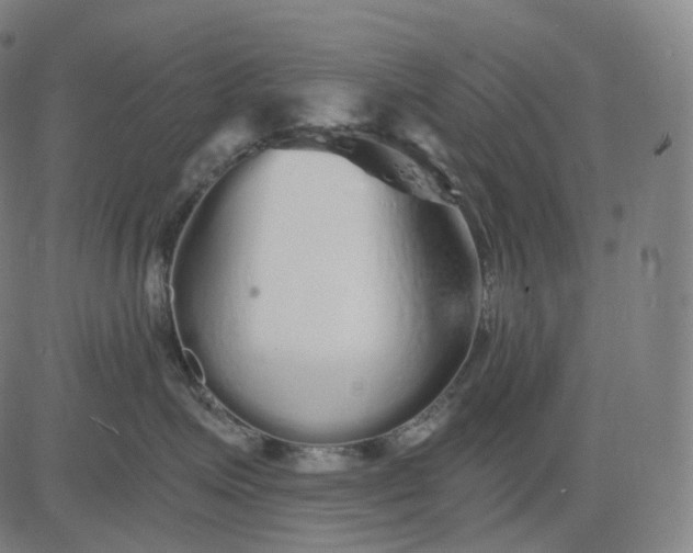 X0000084550623200703091721