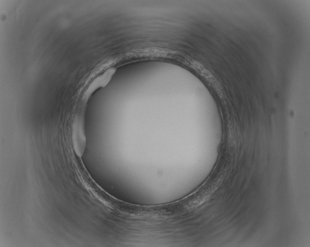 X0000084550625200703091720