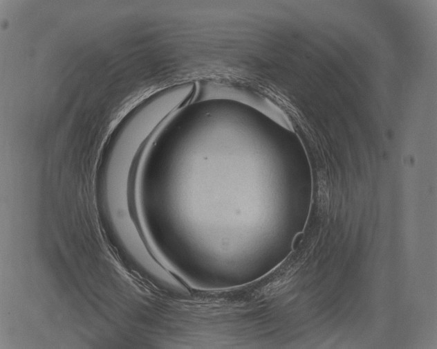 X0000084550626200703091720