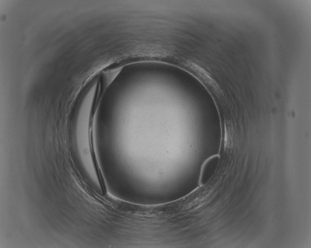 X0000084550627200703091720