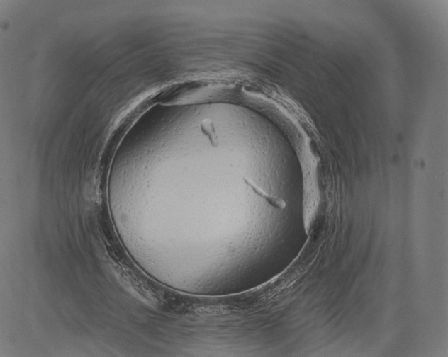 X0000084550628200703091720