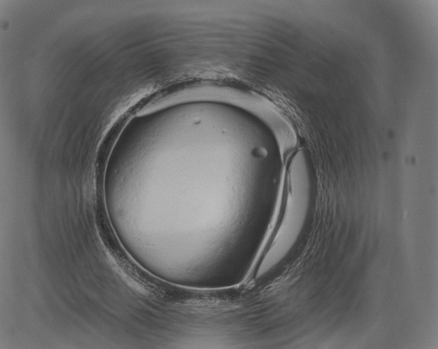 X0000084550630200703091720