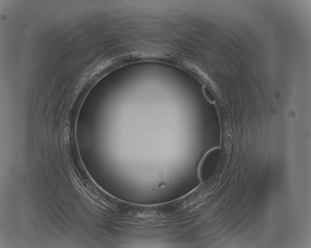 X0000084550631200703091720