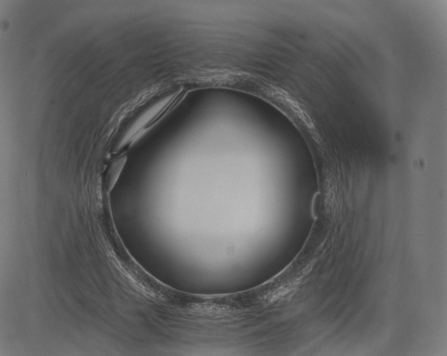 X0000084550633200703091720