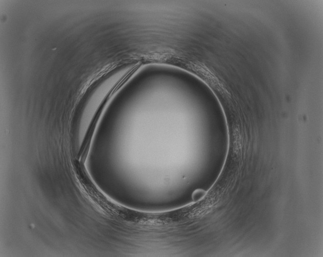 X0000084550634200703091720