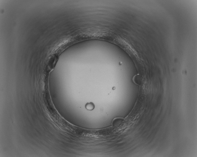 X0000084550635200703091720