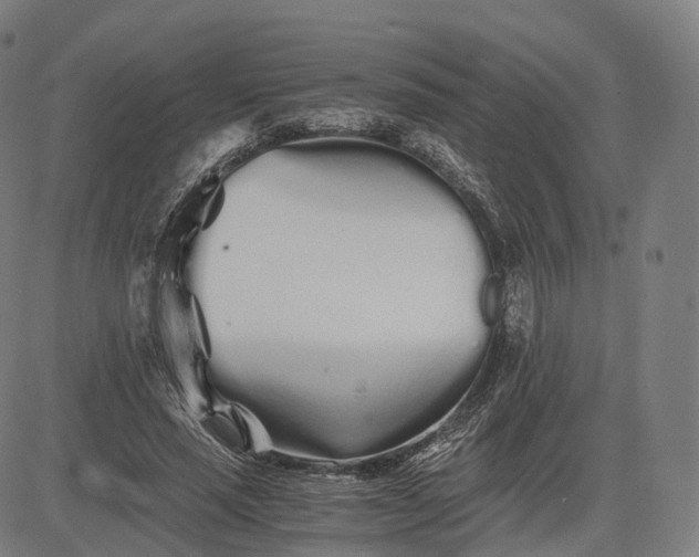 X0000084550637200703091720